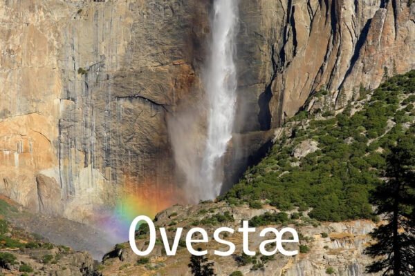 Ovestæ