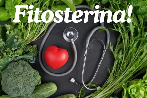 Fitosterina